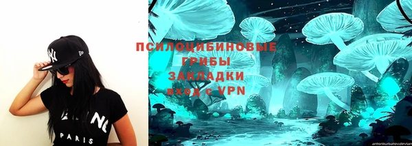 гидропоника Алексеевка